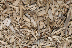 biomass boilers Tremadog